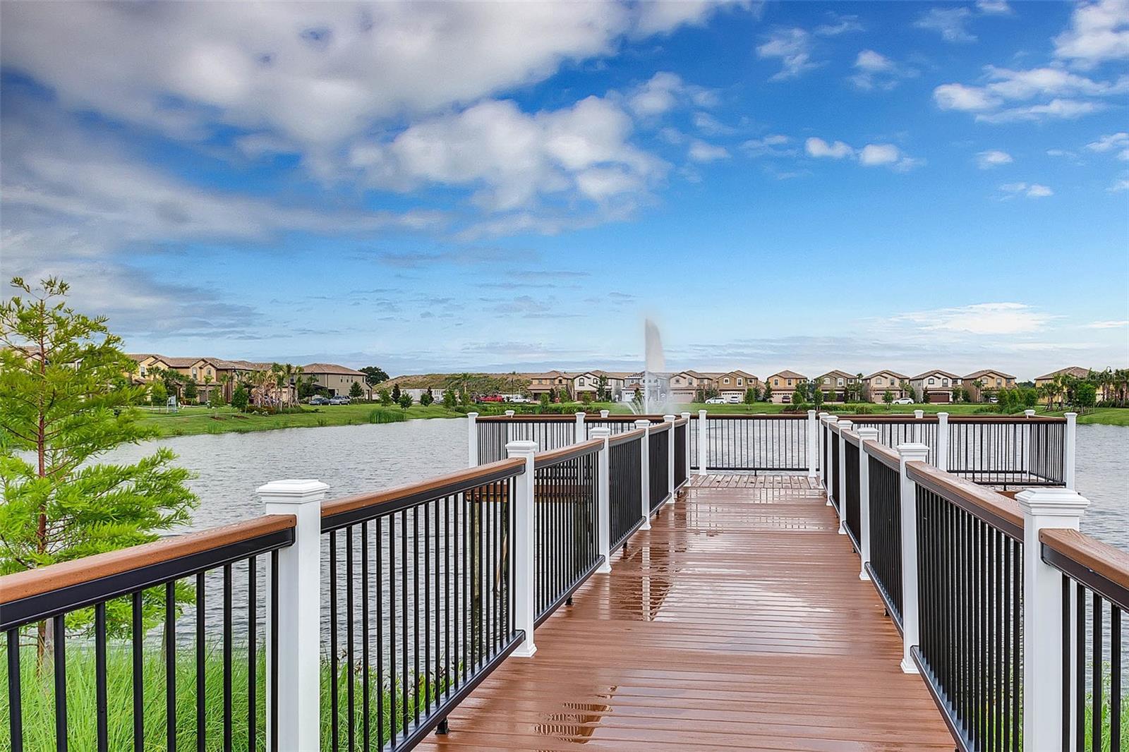 2427 DUBAI ST, KISSIMMEE, FL — photo 51