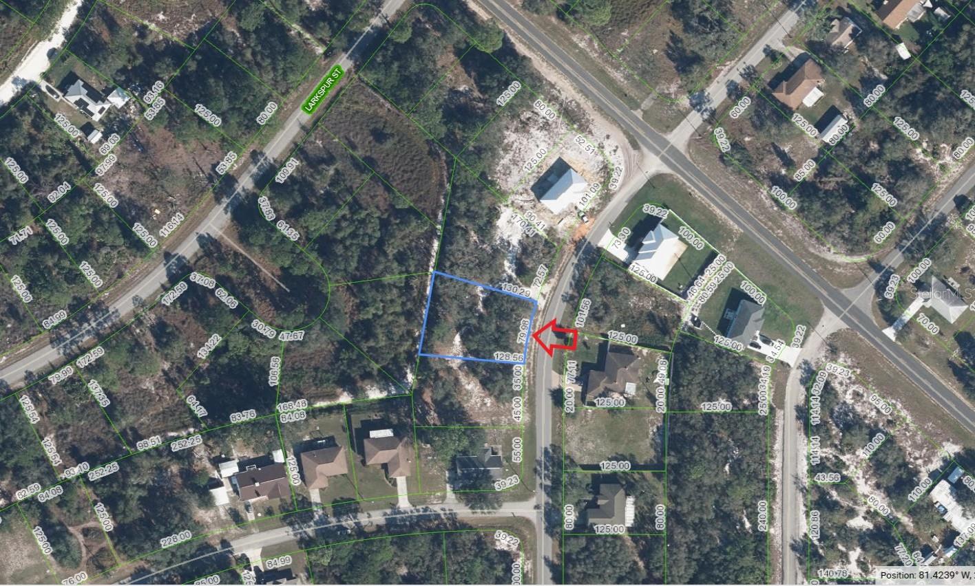 915 TEA ROSE ST, LAKE PLACID, FL