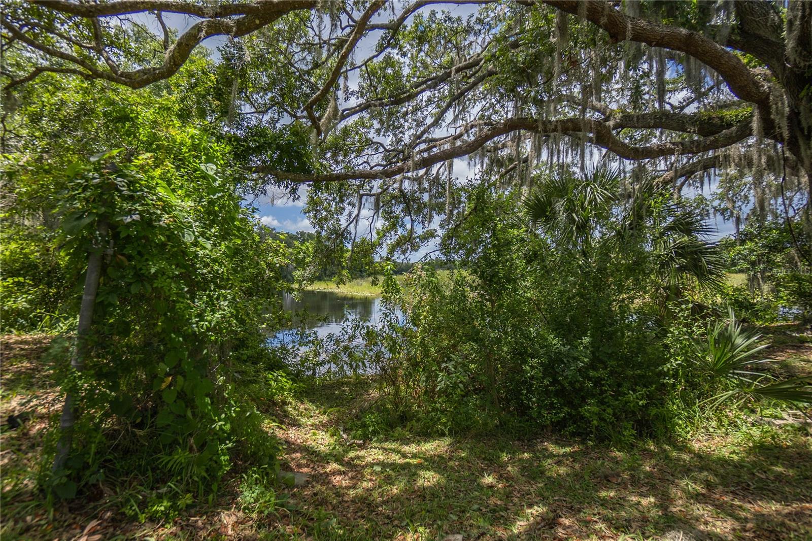 8929 E GULF TO LAKE HWY, INVERNESS, FL — photo 40