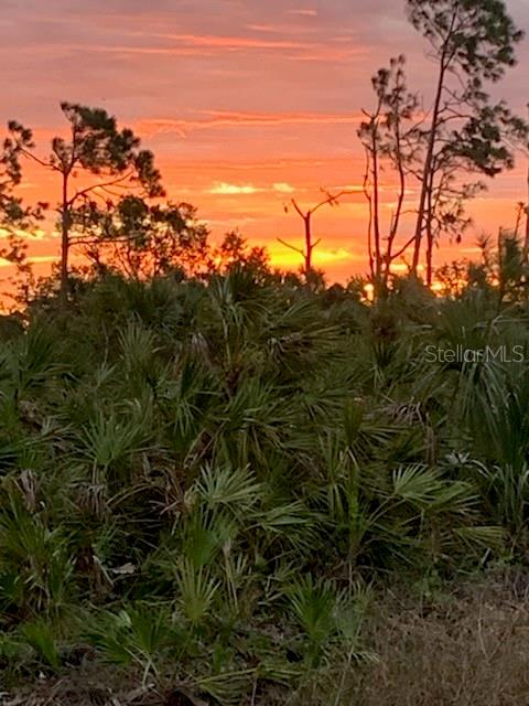 197 JADE ST, ROTONDA WEST, FL — photo 4