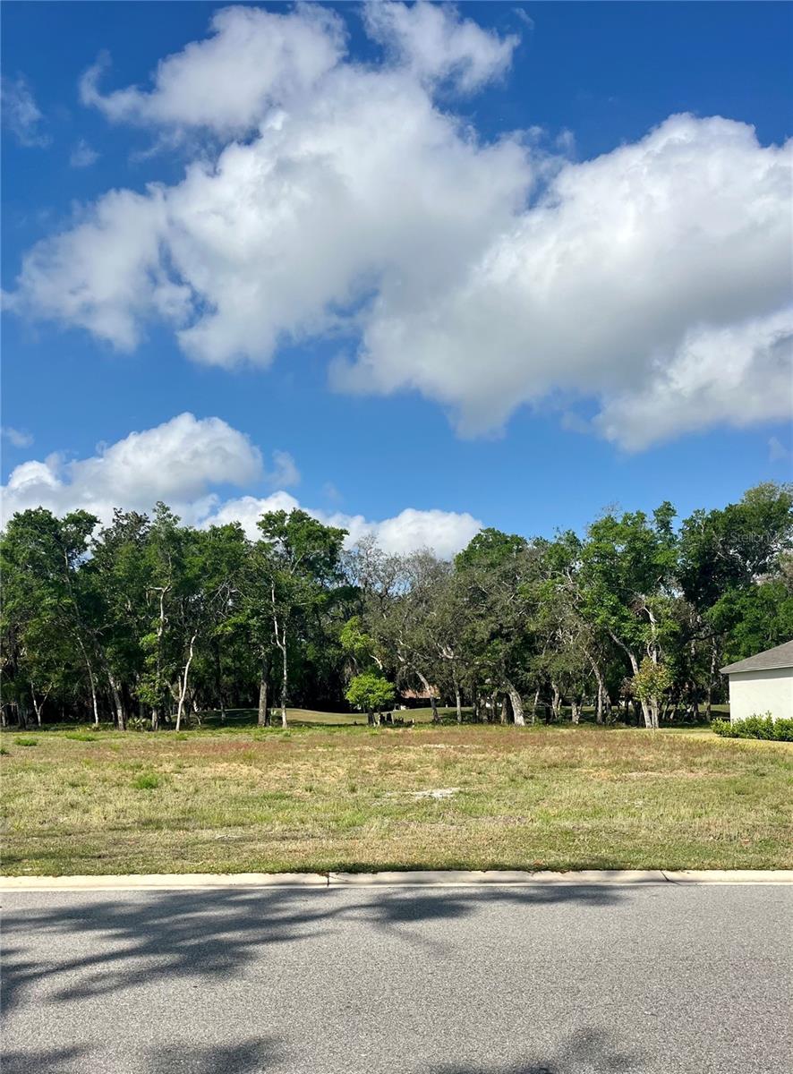 3138 SILVERMINES AVE, ORMOND BEACH, FL — photo 5