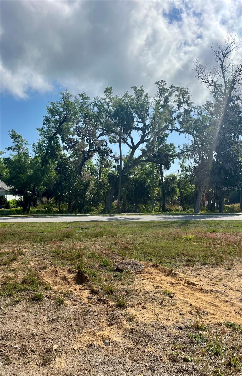 3138 SILVERMINES AVE, ORMOND BEACH, FL — photo 8