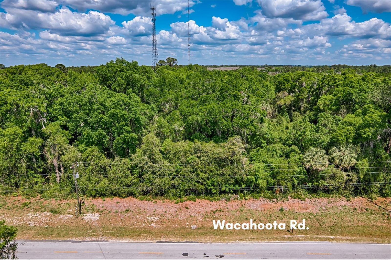 110 SE WACAHOOTA RD, MICANOPY, FL — photo 9