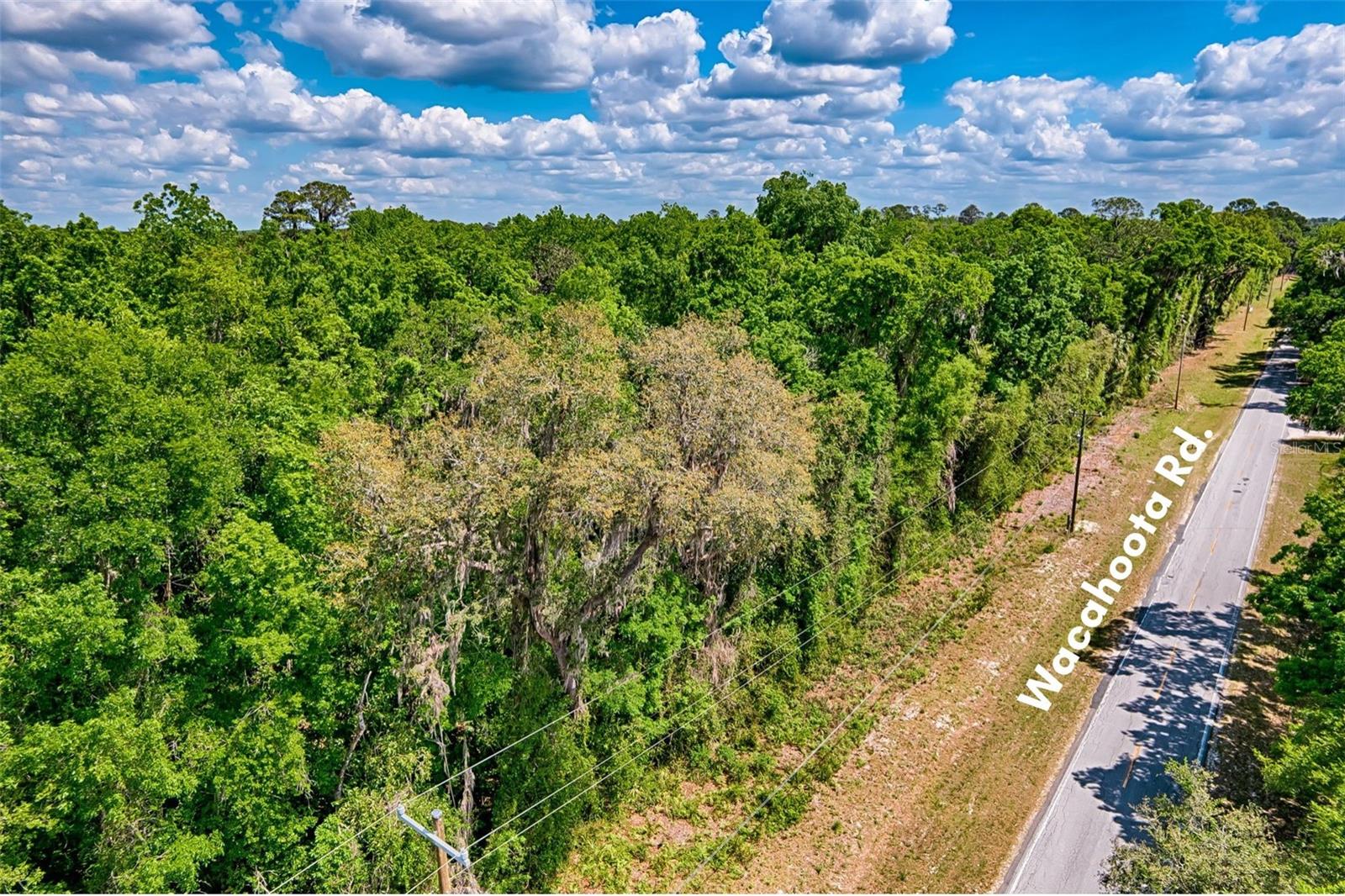 110 SE WACAHOOTA RD, MICANOPY, FL — photo 10