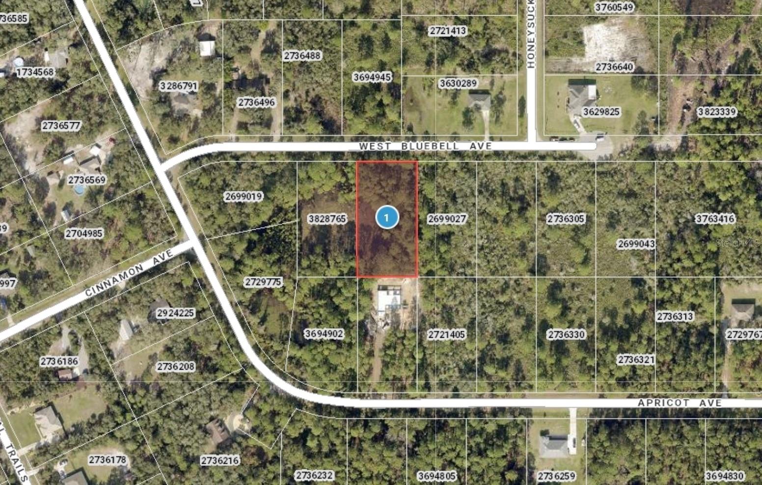 00 W BLUEBELL AVE, EUSTIS, FL — photo 11