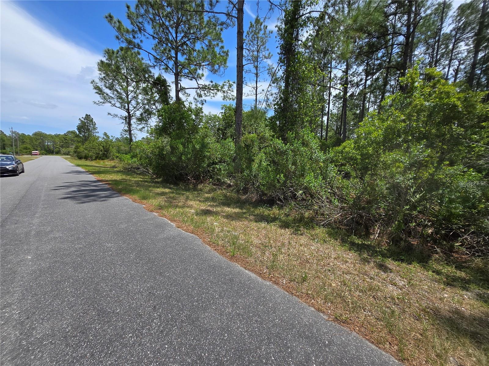 00 W BLUEBELL AVE, EUSTIS, FL — photo 3