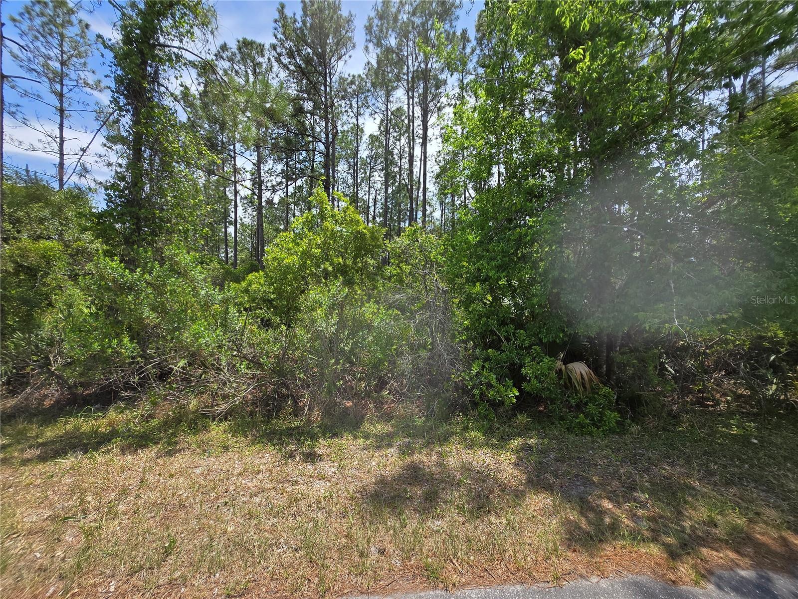 00 W BLUEBELL AVE, EUSTIS, FL — photo 5