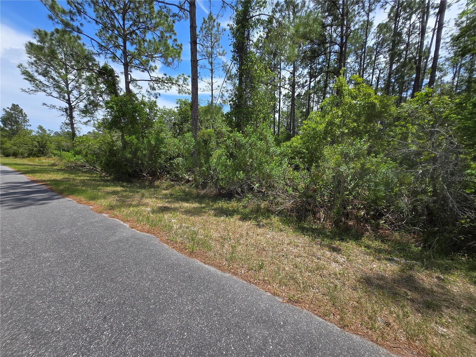 00 W BLUEBELL AVE, EUSTIS, FL — photo 9