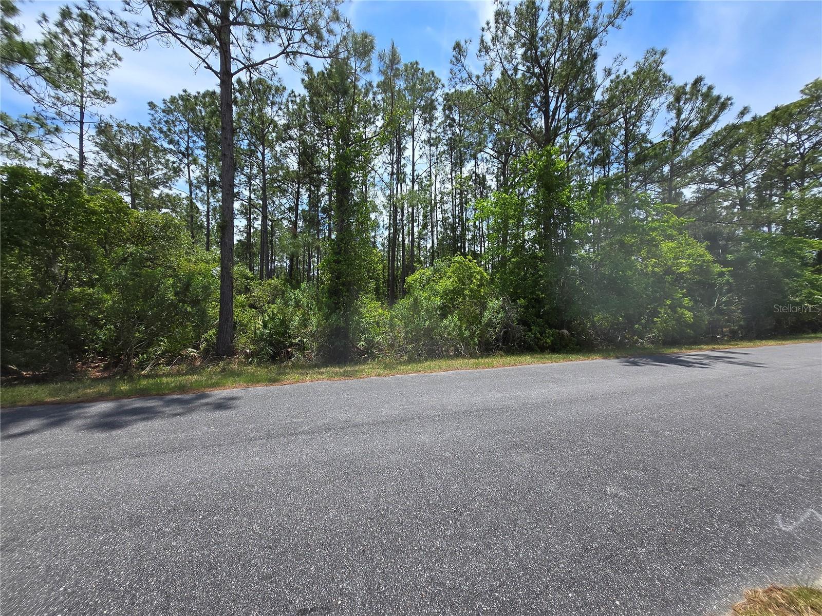00 W BLUEBELL AVE, EUSTIS, FL — photo 7