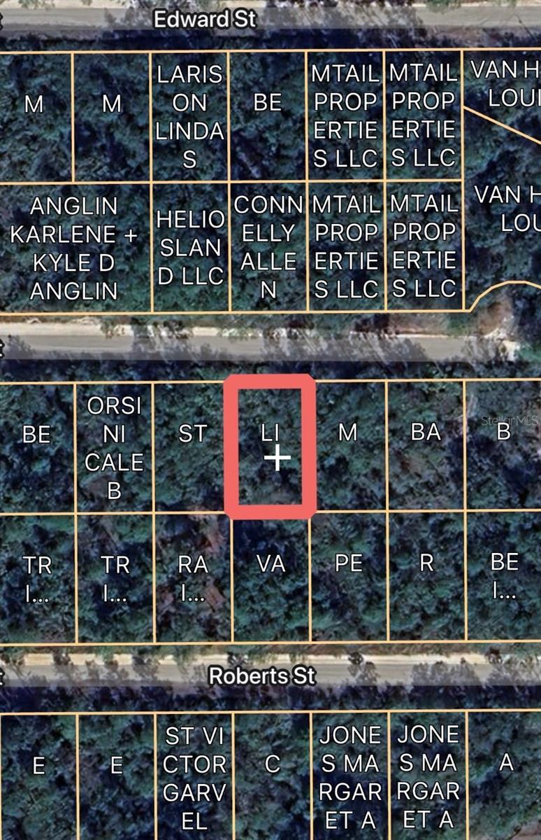 00 BASFORD ST, INTERLACHEN, FL
