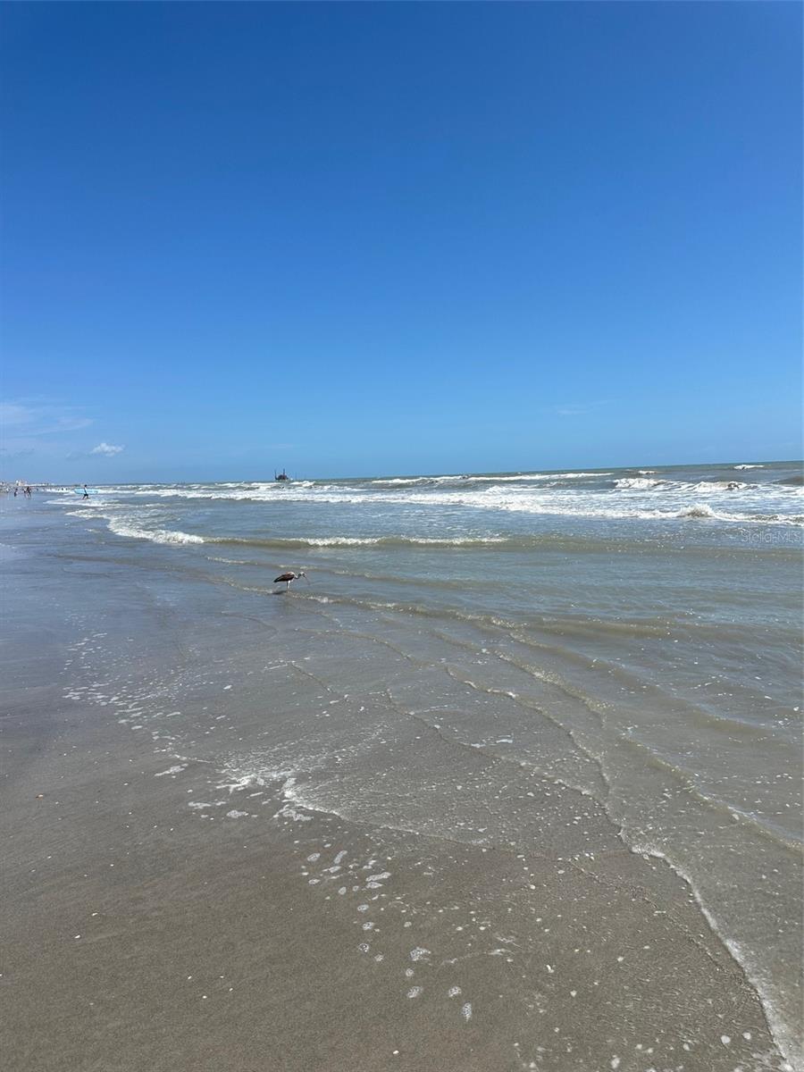1890 N ATLANTIC AVE #A403, COCOA BEACH, FL — photo 8