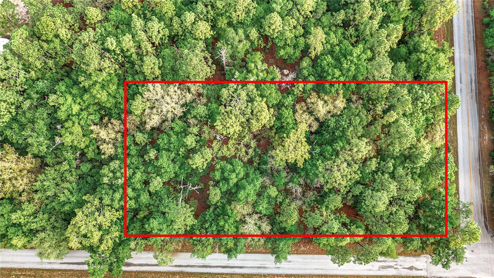 0 SW BREEZY POINT DR, DUNNELLON, FL — photo 2
