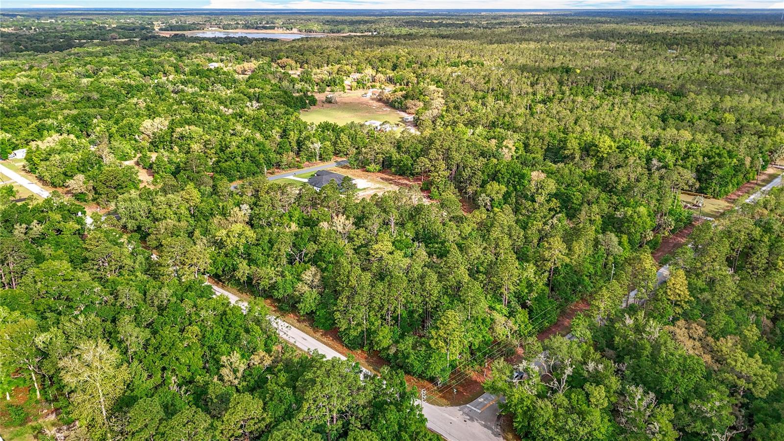 0 SW BREEZY POINT DR, DUNNELLON, FL — photo 8