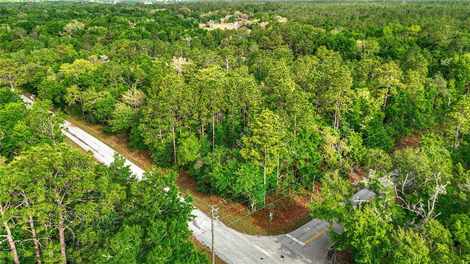 0 SW BREEZY POINT DR, DUNNELLON, FL — photo 15