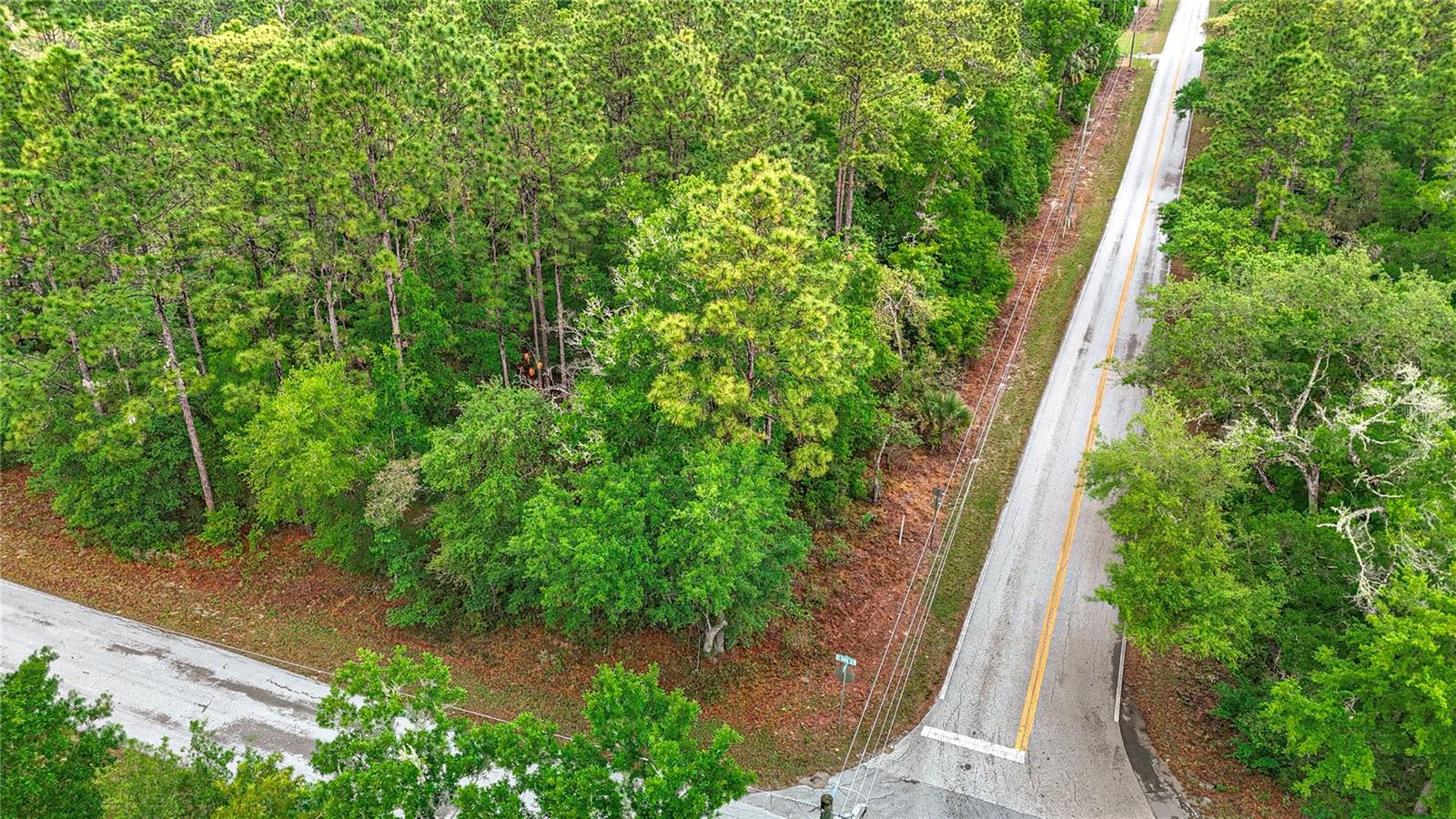 0 SW BREEZY POINT DR, DUNNELLON, FL — photo 16