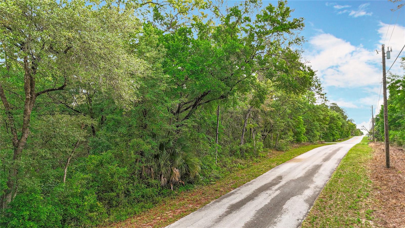 0 SW BREEZY POINT DR, DUNNELLON, FL — photo 19