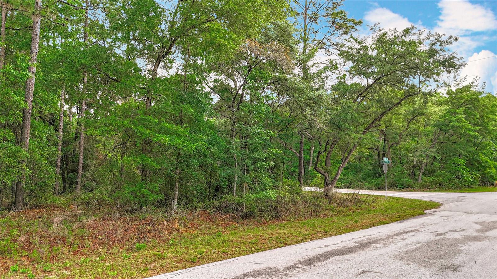 0 SW BREEZY POINT DR, DUNNELLON, FL — photo 20