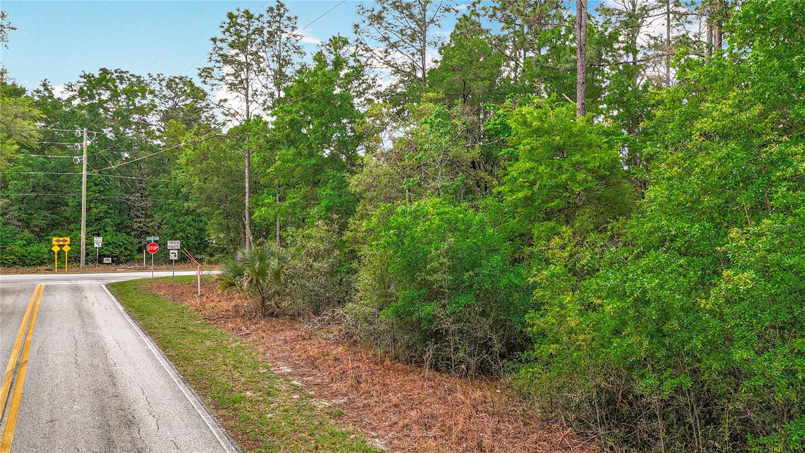 0 SW BREEZY POINT DR, DUNNELLON, FL — photo 21