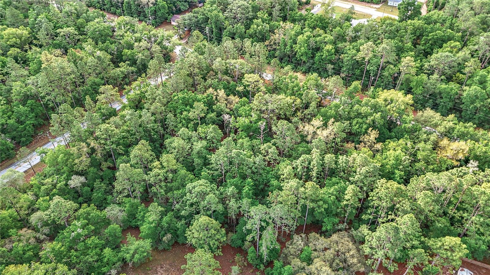 0 SW BREEZY POINT DR, DUNNELLON, FL — photo 27