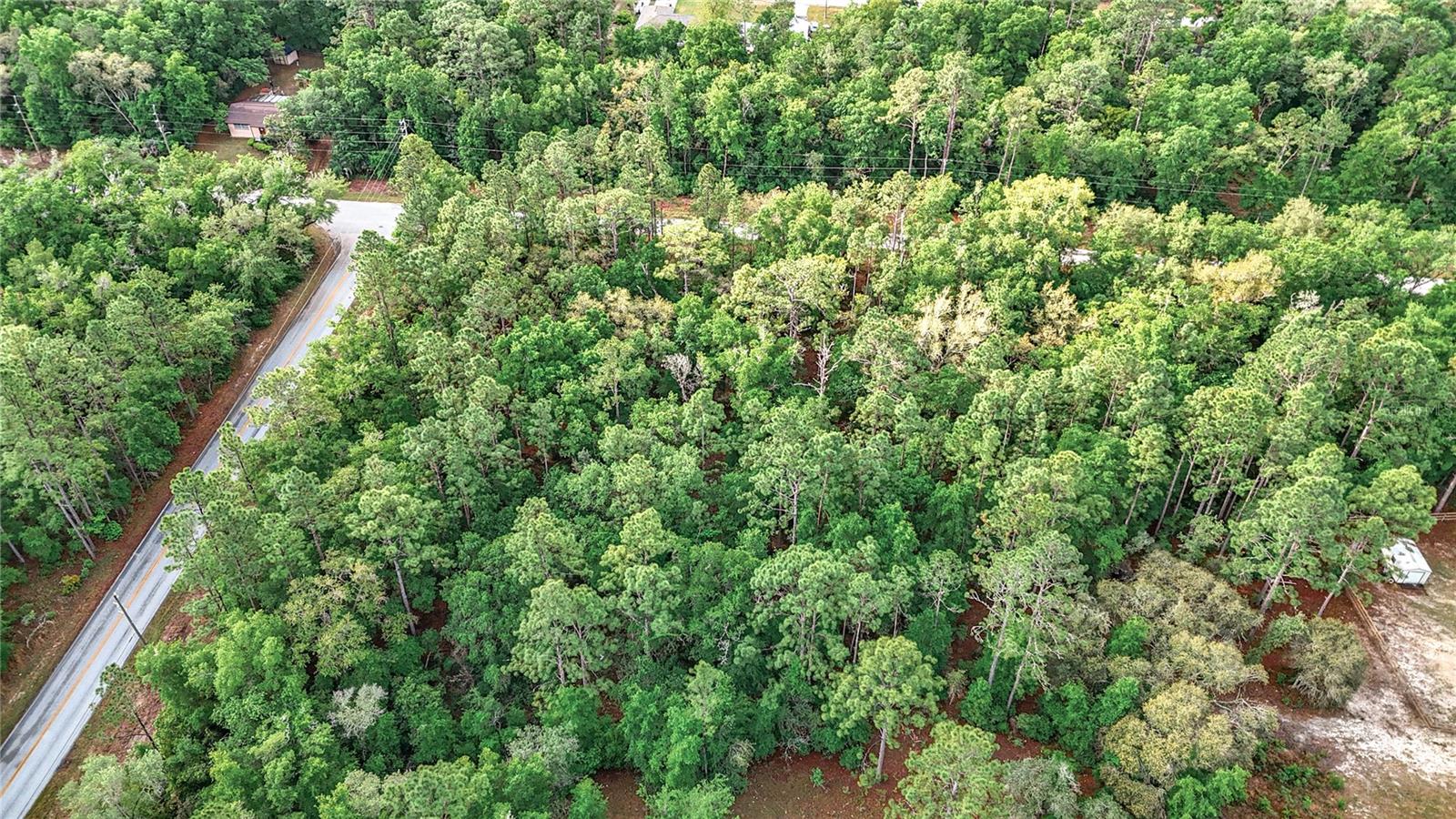 0 SW BREEZY POINT DR, DUNNELLON, FL — photo 28