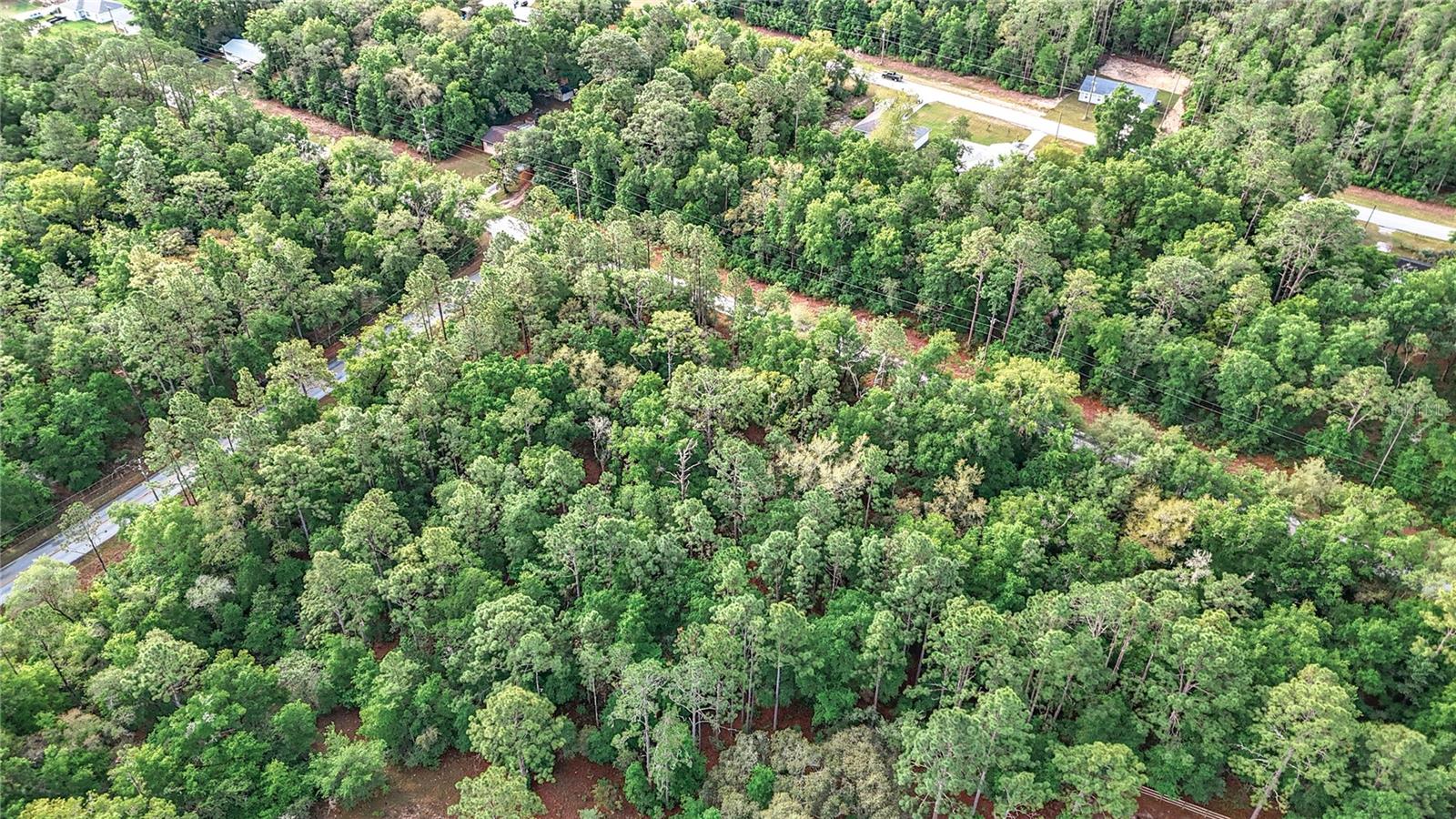 0 SW BREEZY POINT DR, DUNNELLON, FL — photo 30