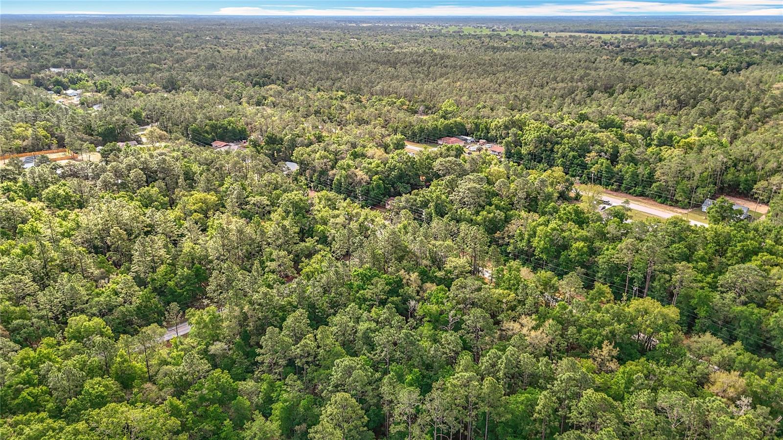 0 SW BREEZY POINT DR, DUNNELLON, FL — photo 35