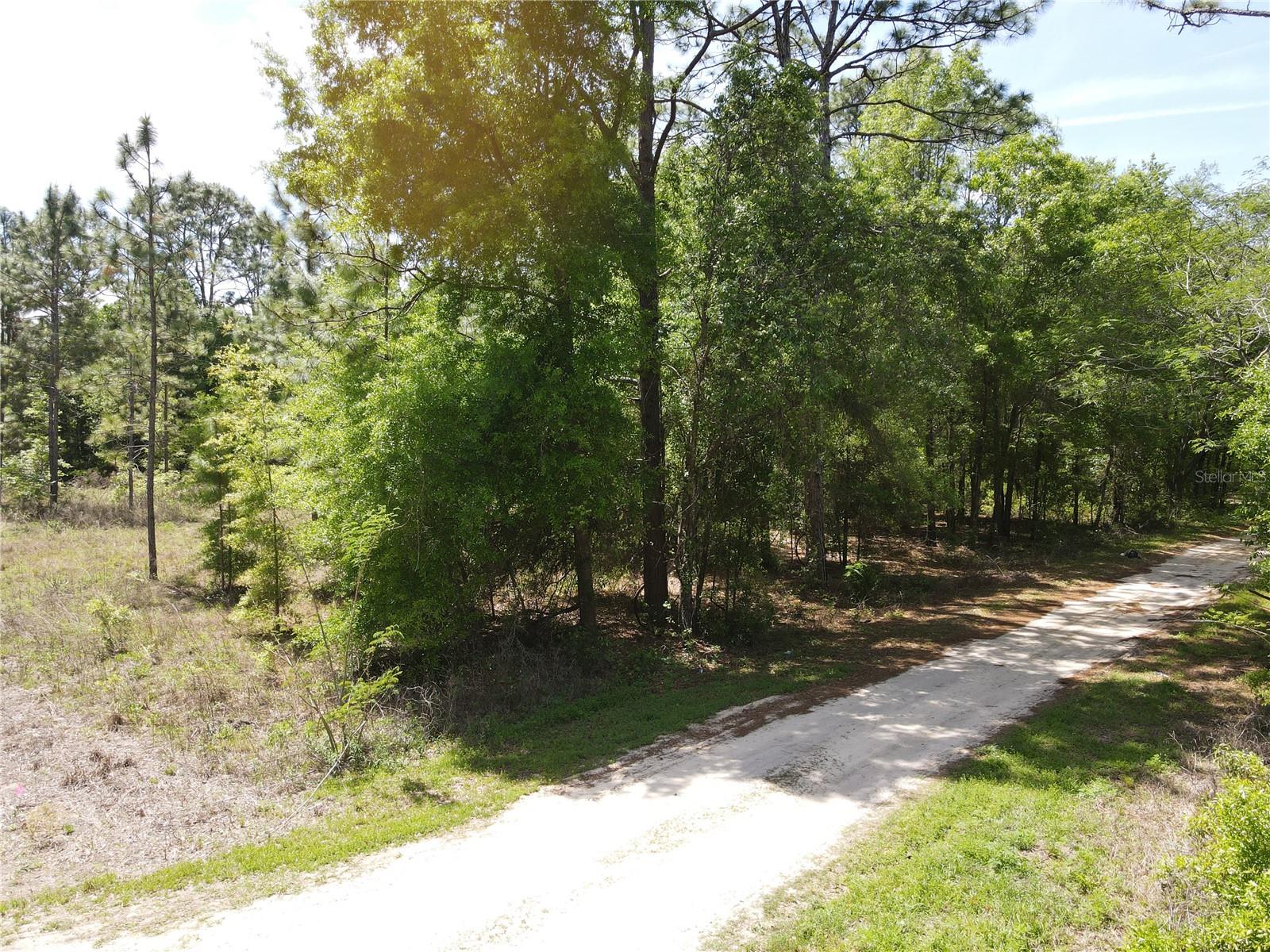 SW 29 LN, OCALA, FL — photo 3