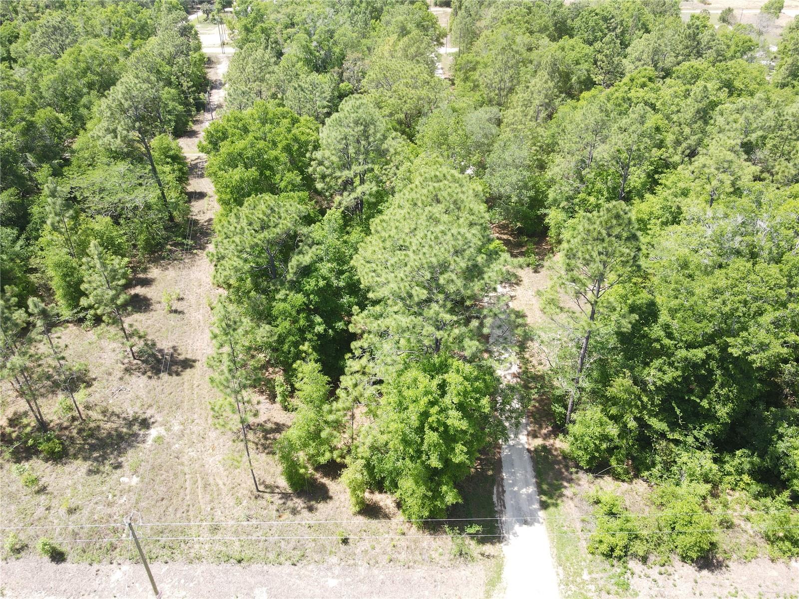 SW 29 LN, OCALA, FL — photo 9