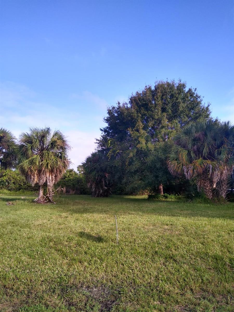 81 LONG MEADOW PL, ROTONDA WEST, FL