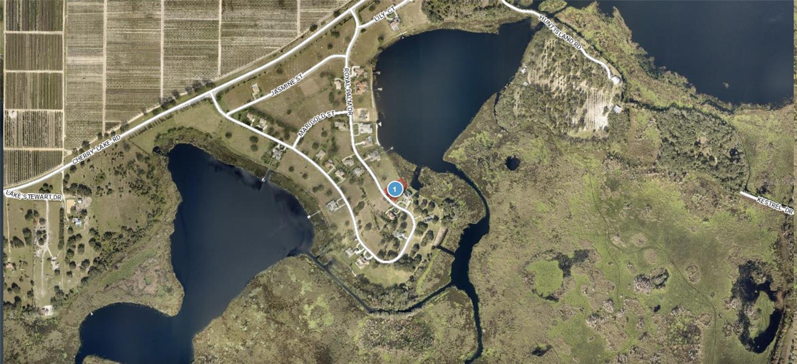 Lot 39 ROYAL PALM DR, GROVELAND, FL — photo 3
