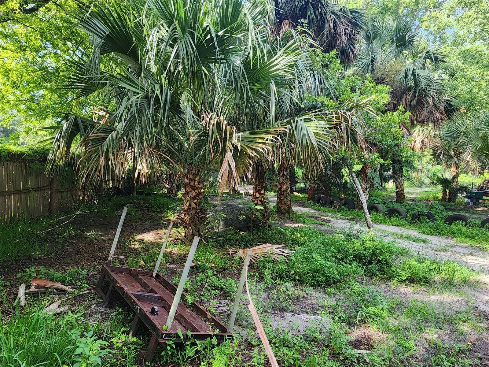 SANFORD AVE, SANFORD, FL — photo 4