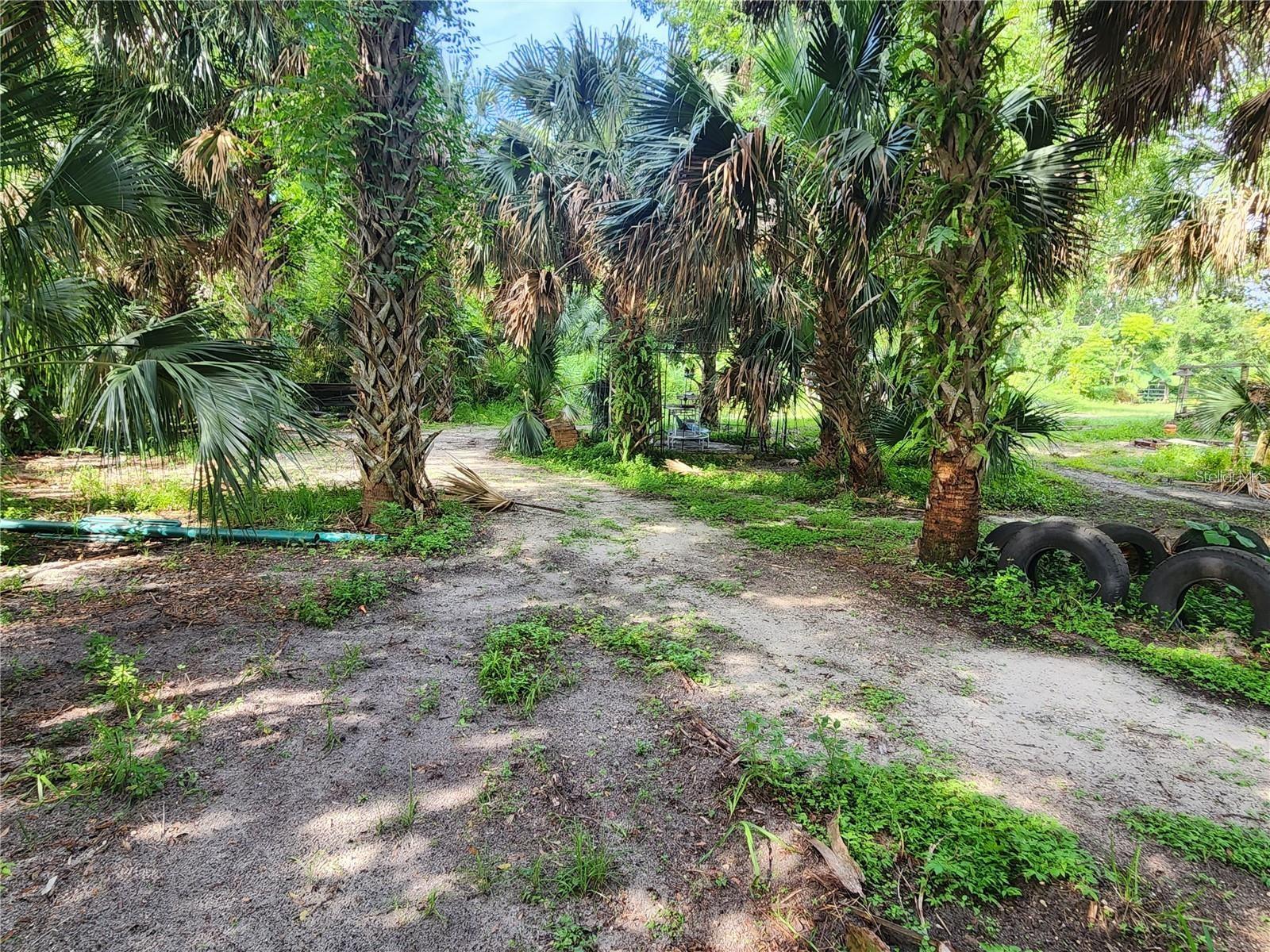 SANFORD AVE, SANFORD, FL — photo 5