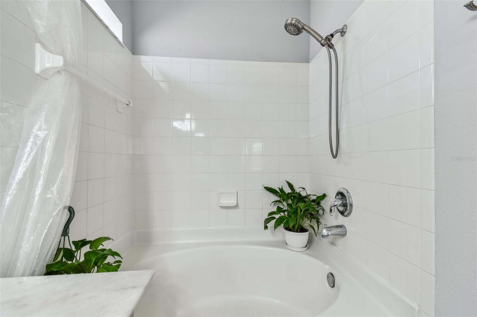 24231 SATINWOOD CT, LUTZ, FL — photo 33