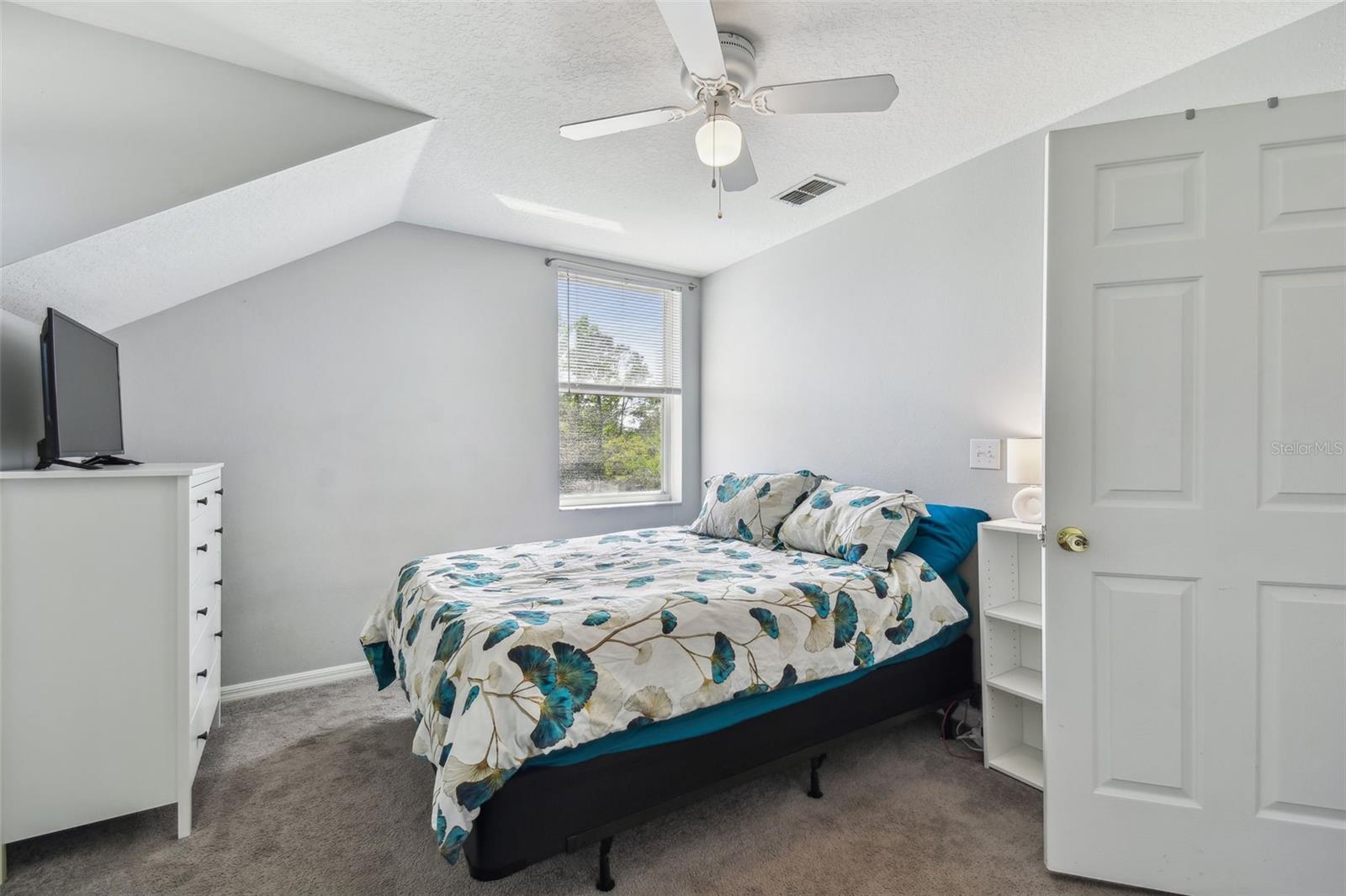 24231 SATINWOOD CT, LUTZ, FL — photo 37