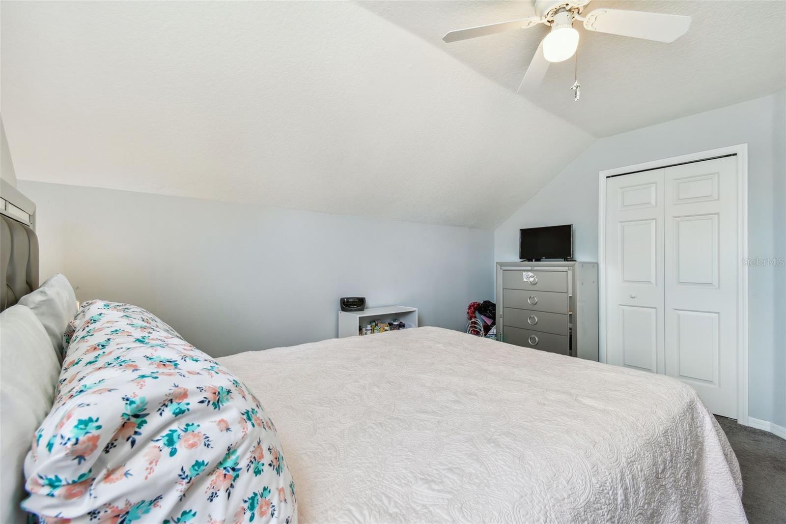 24231 SATINWOOD CT, LUTZ, FL — photo 41