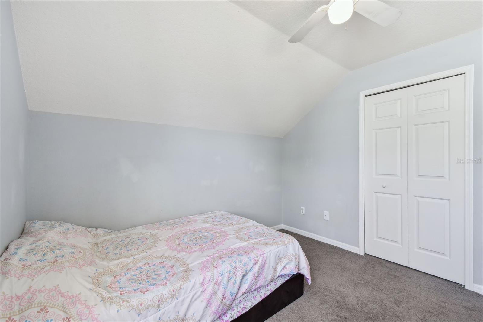 24231 SATINWOOD CT, LUTZ, FL — photo 50