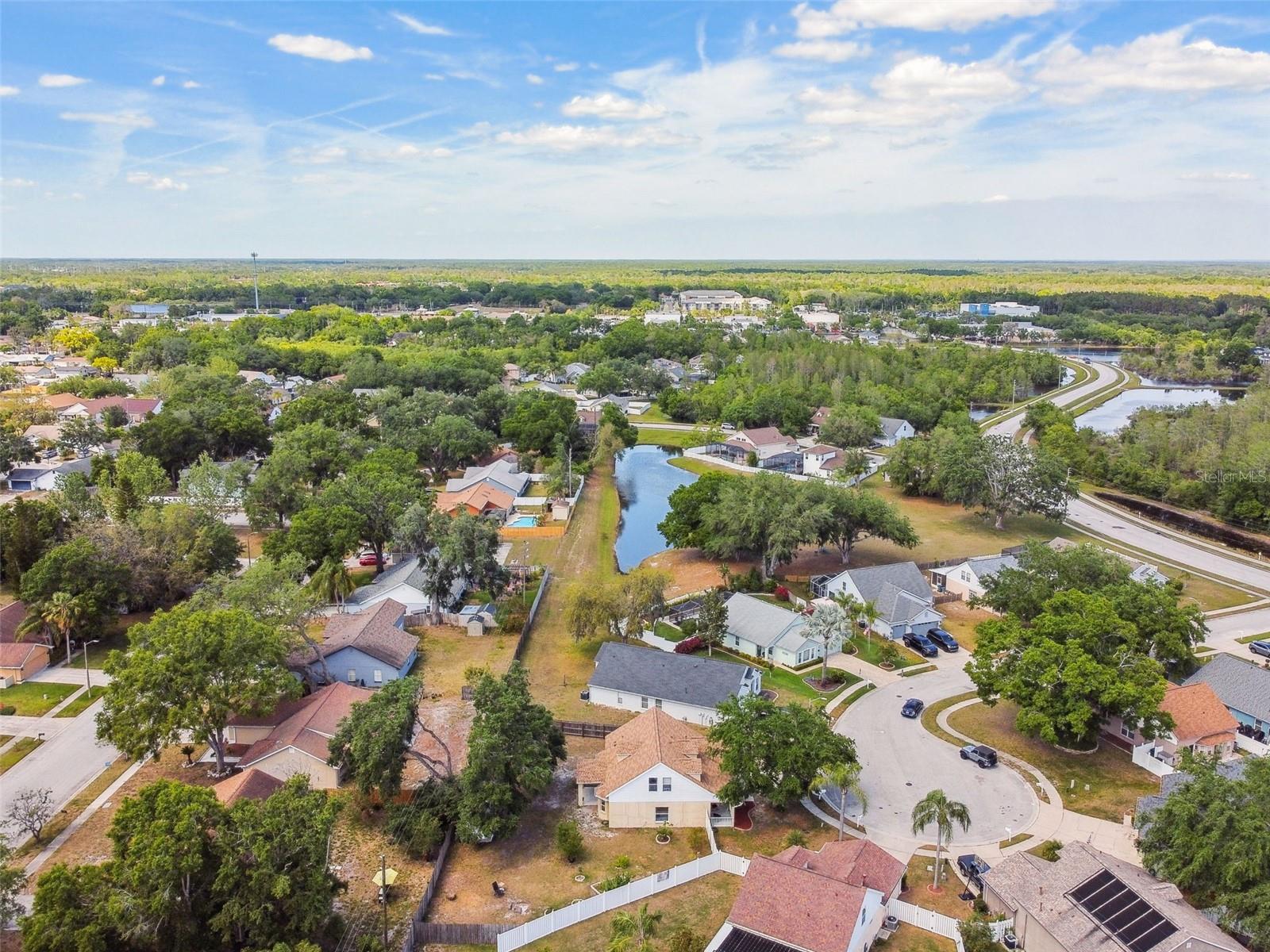 24231 SATINWOOD CT, LUTZ, FL — photo 54