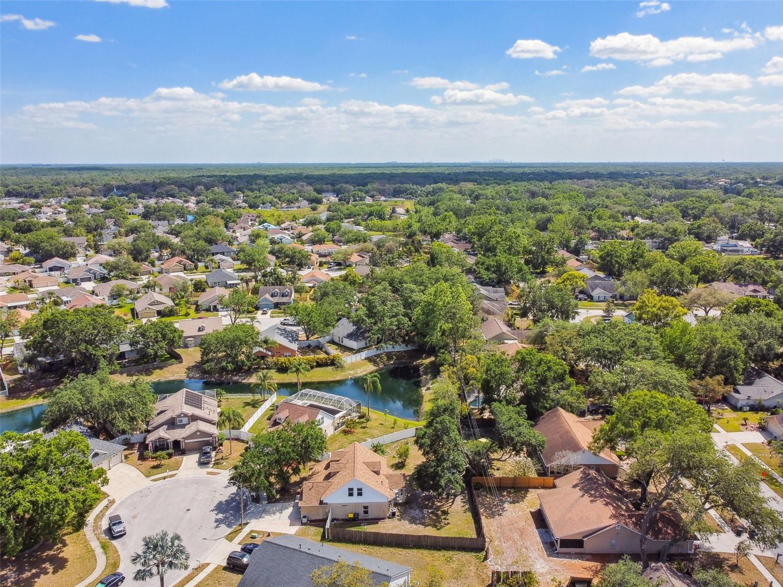 24231 SATINWOOD CT, LUTZ, FL — photo 55