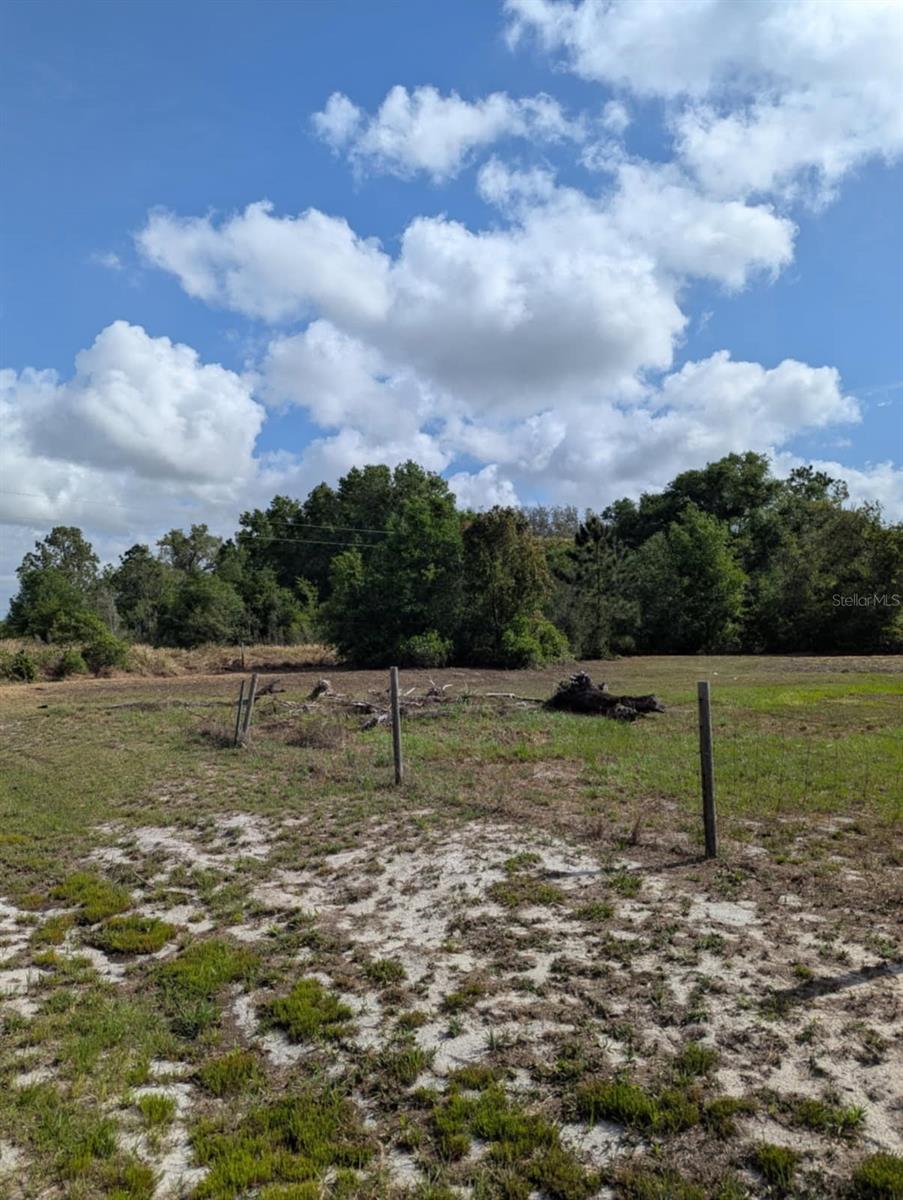 3465 W ANSONIA RD, AVON PARK, FL — photo 9