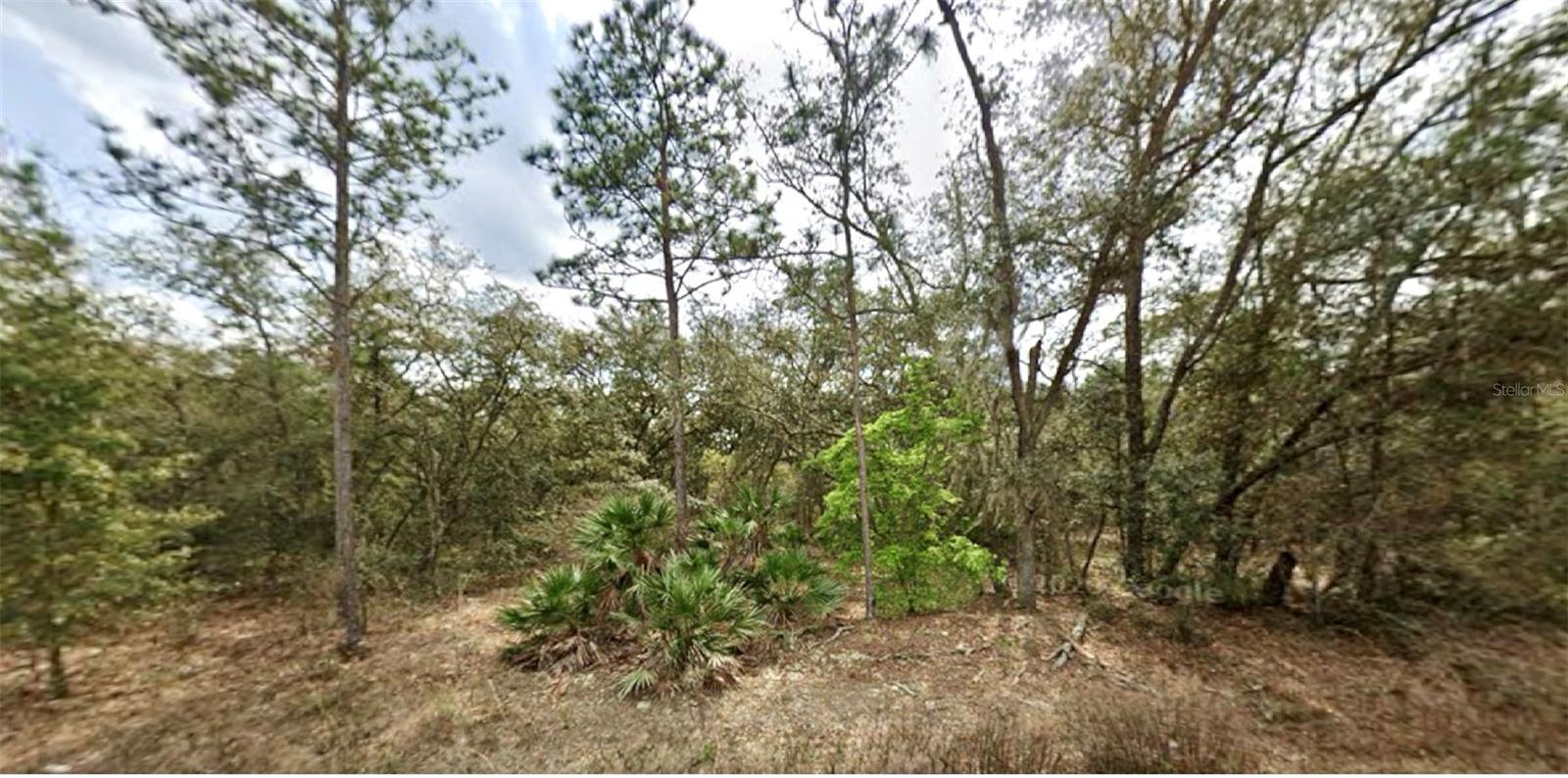 109 DOTTIE ST, INTERLACHEN, FL
