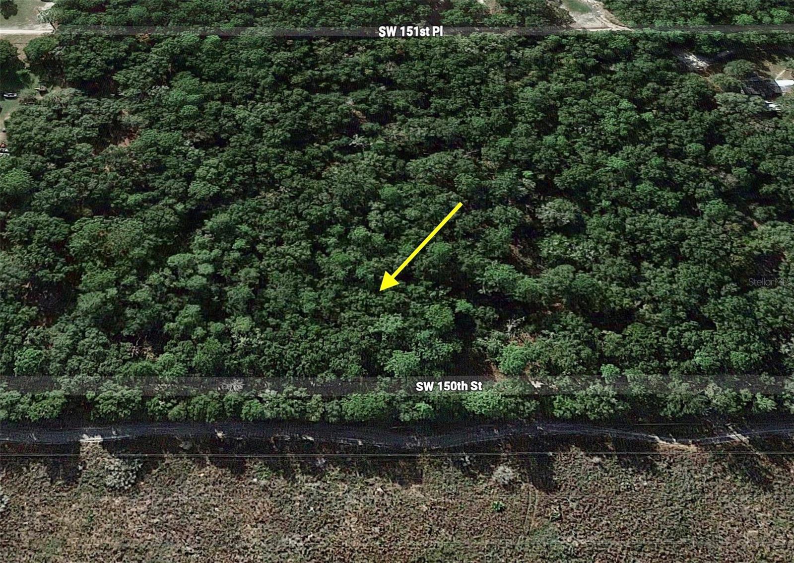 TRACT 29 SW 150TH ST, DUNNELLON, FL — photo 6