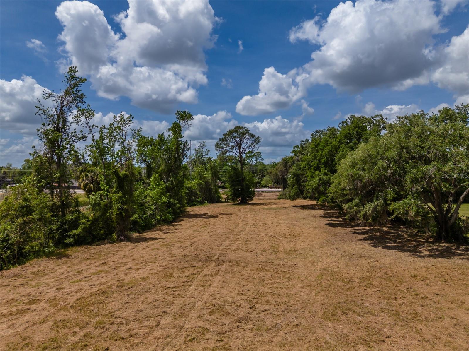 5106 BELL SHOALS RD, VALRICO, FL — photo 7
