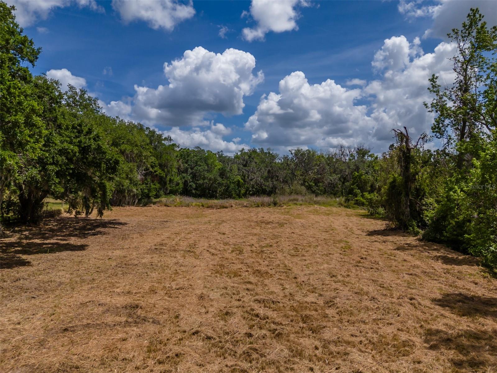 5106 BELL SHOALS RD, VALRICO, FL — photo 8