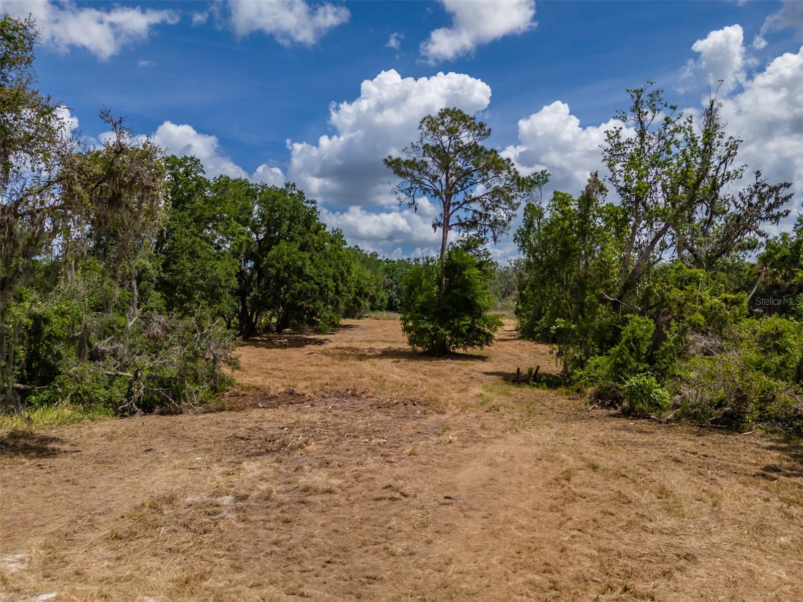 5106 BELL SHOALS RD, VALRICO, FL — photo 9