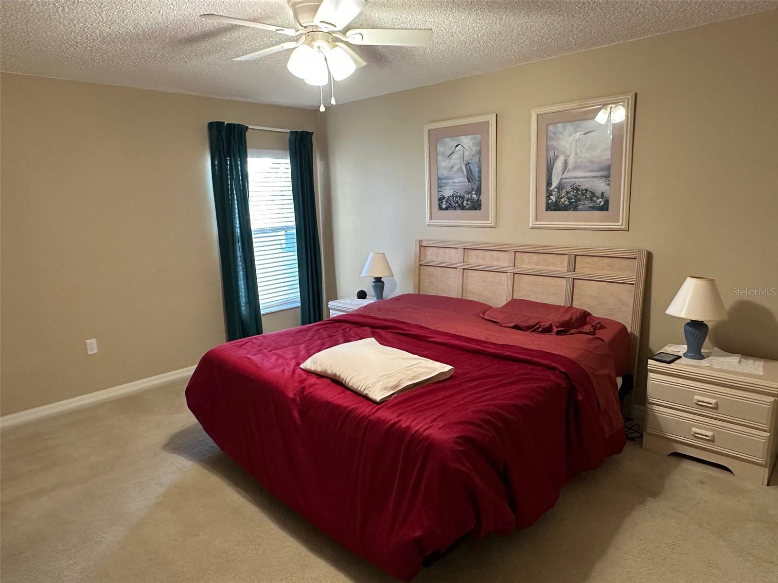 32905 TIMBERWOOD DR, LEESBURG, FL — photo 17