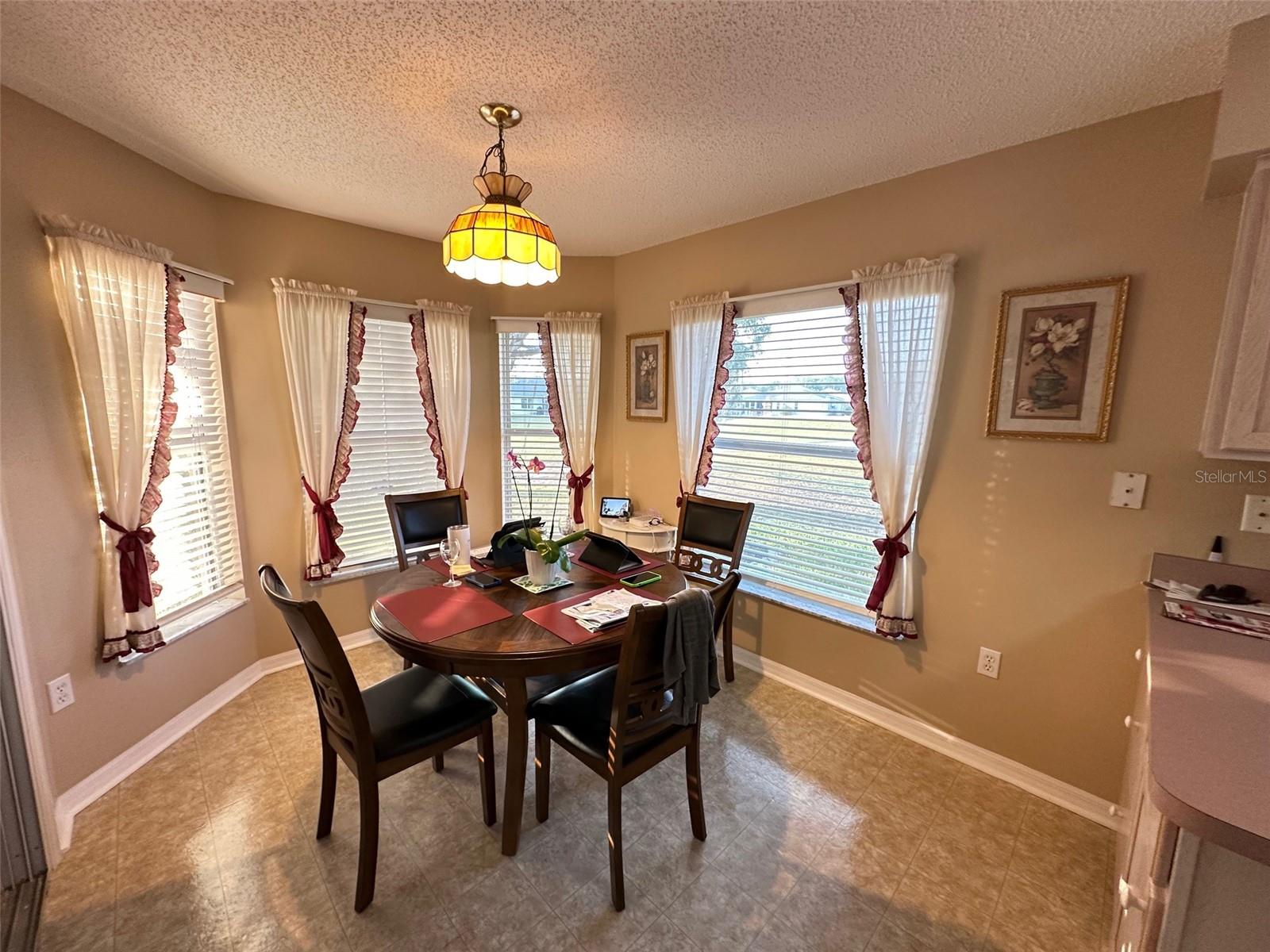 32905 TIMBERWOOD DR, LEESBURG, FL — photo 8