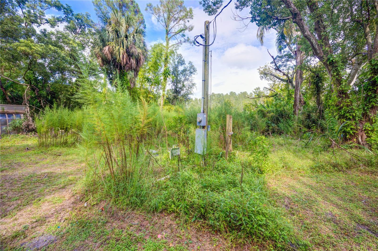 7408 TOM DR, LAND O LAKES, FL — photo 5