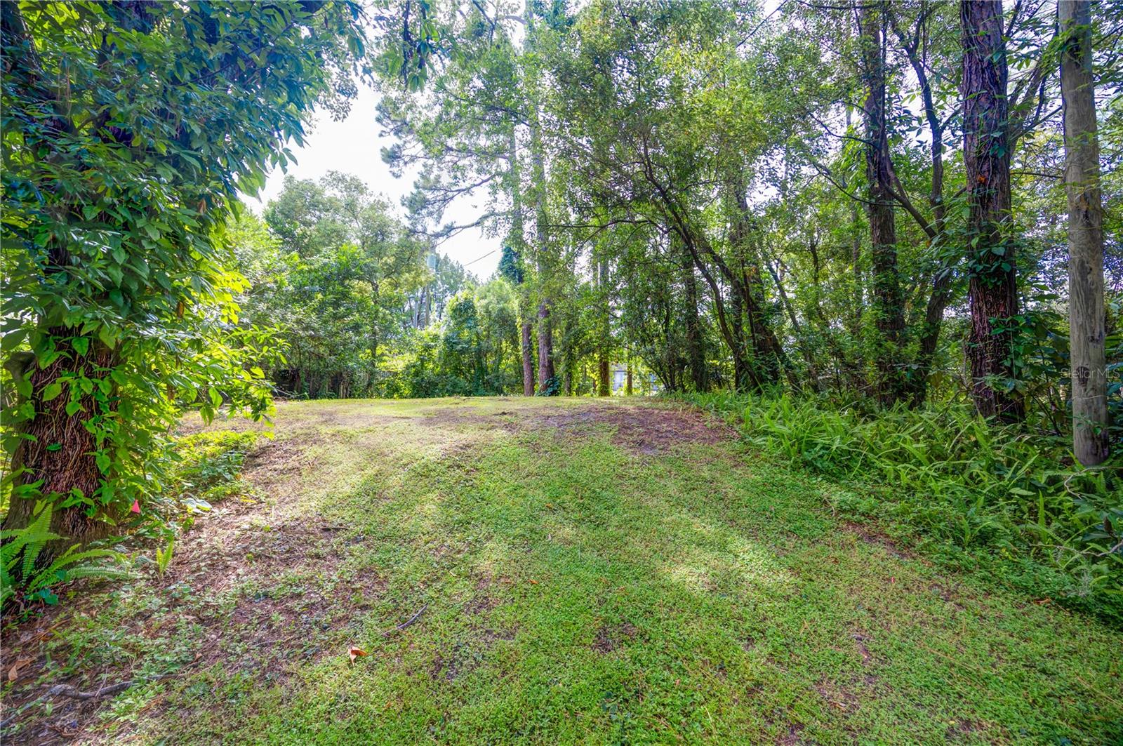 7408 TOM DR, LAND O LAKES, FL — photo 9
