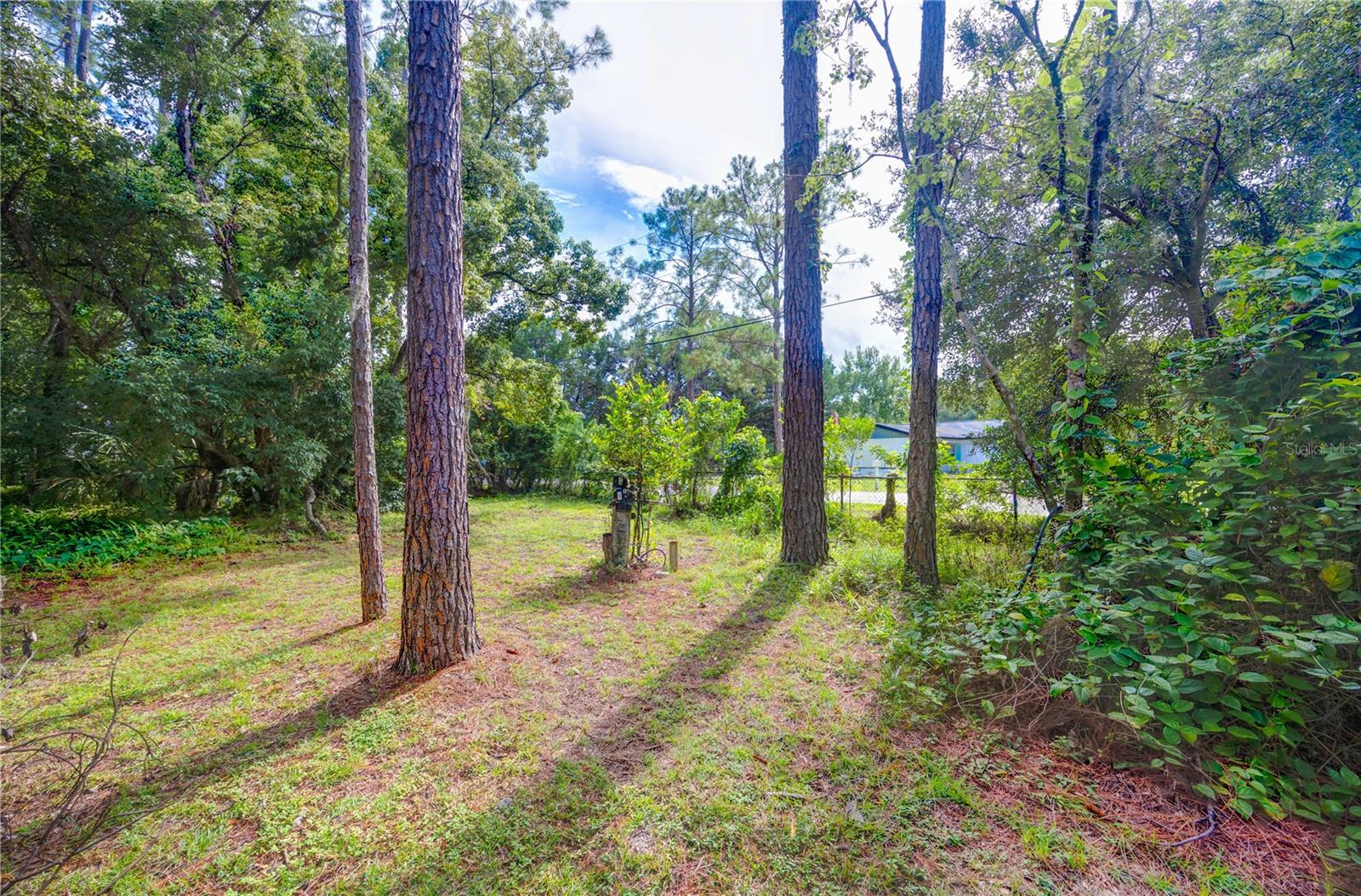 7408 TOM DR, LAND O LAKES, FL — photo 12