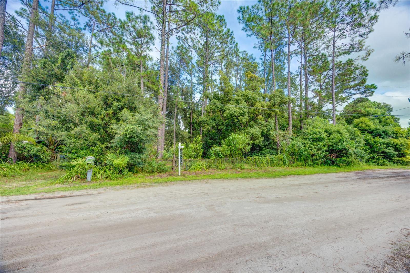 7408 TOM DR, LAND O LAKES, FL — photo 14